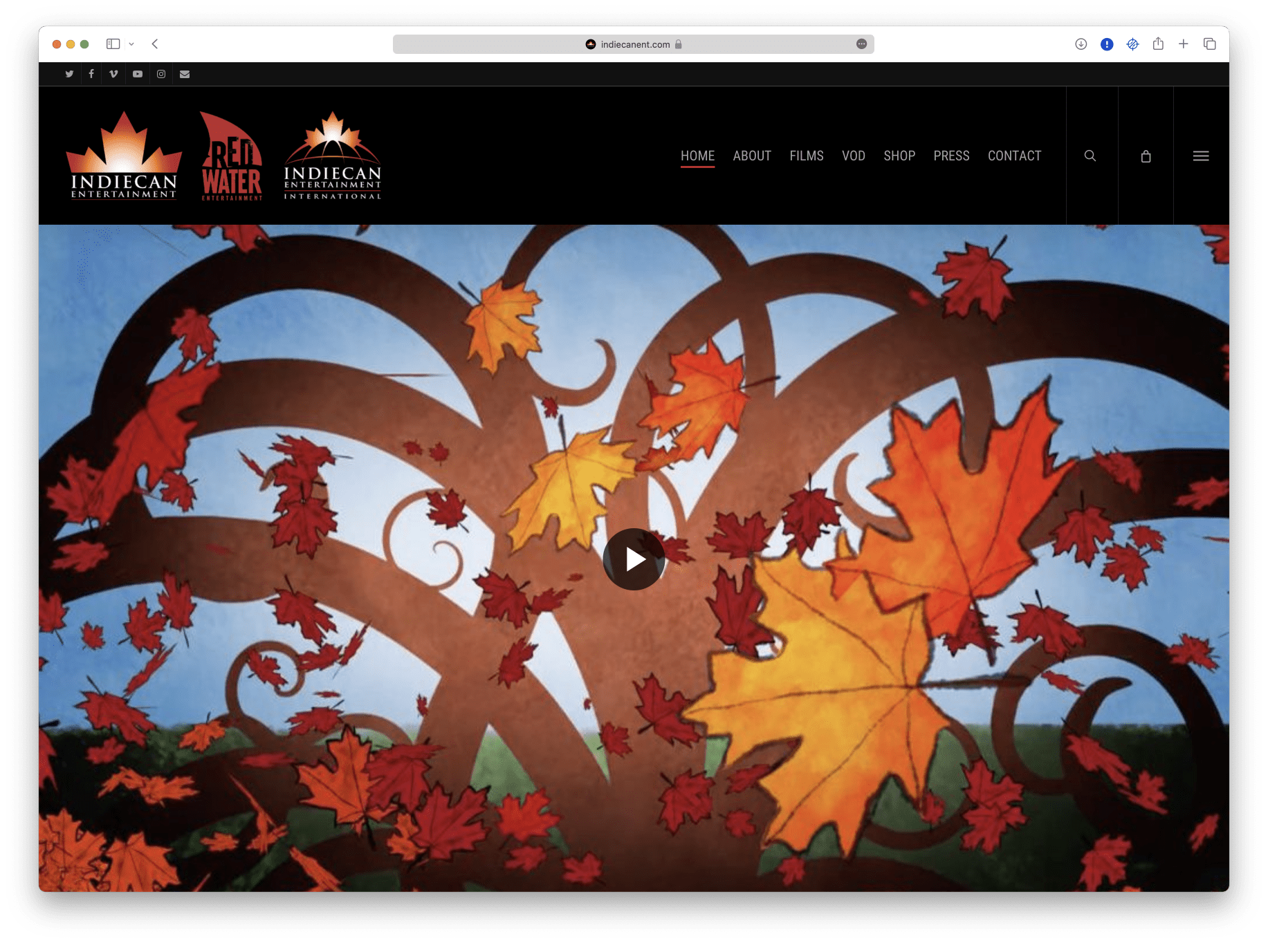 A website with an image of a tree and leaves.