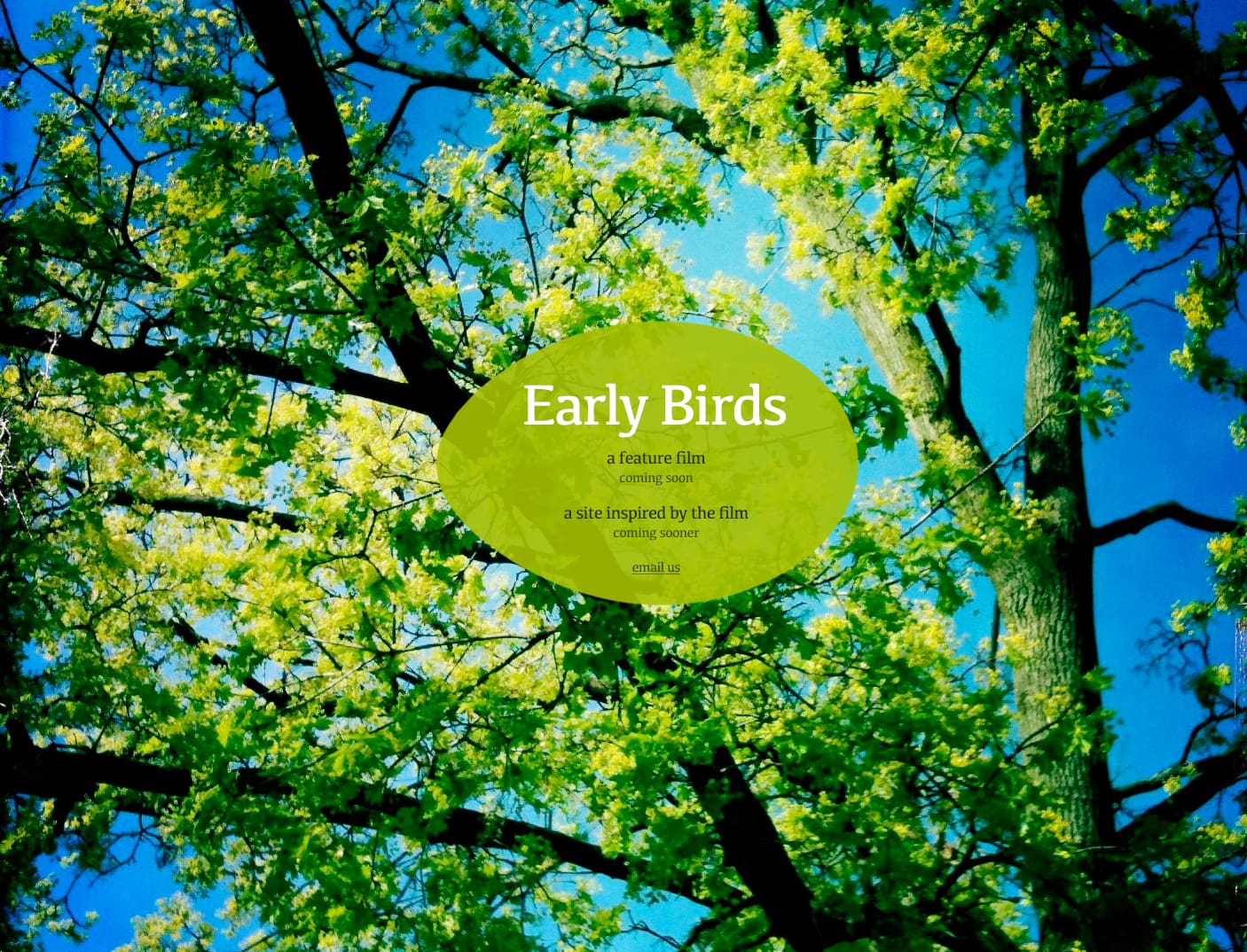 An image of a tree for Early Birds